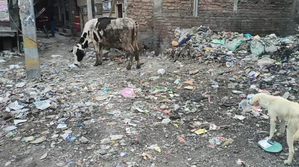 दिल्ली में कूड़े के कचरे को लेकर जनता परेशान