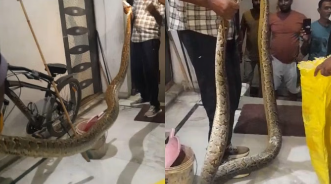 बुलंदशहर