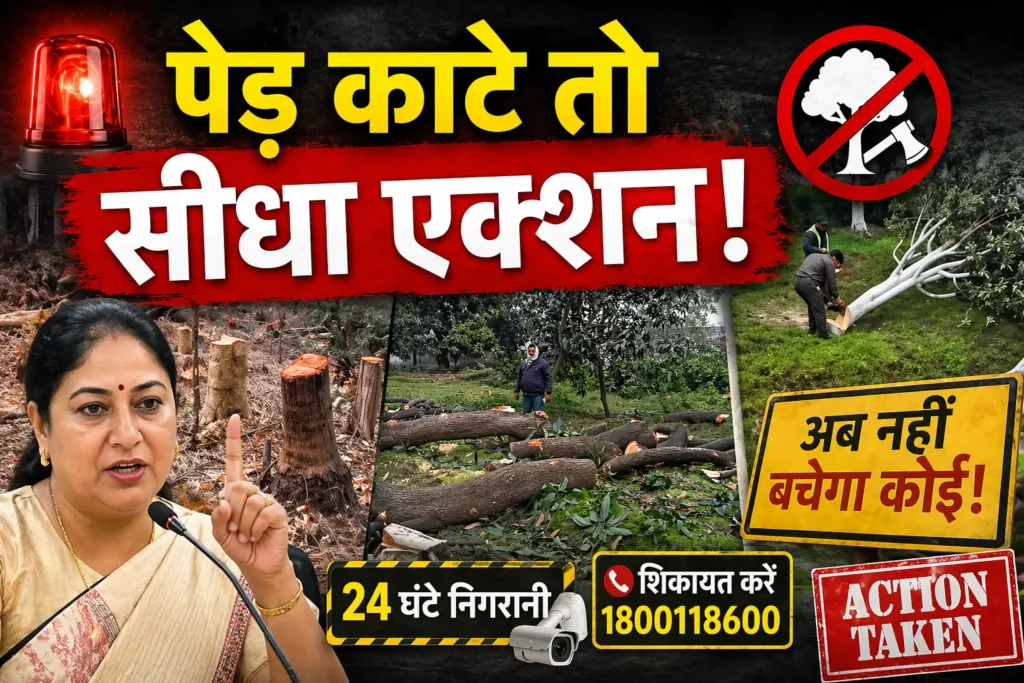 दिल्ली में पेड़ों की कटाई पर सख्ती